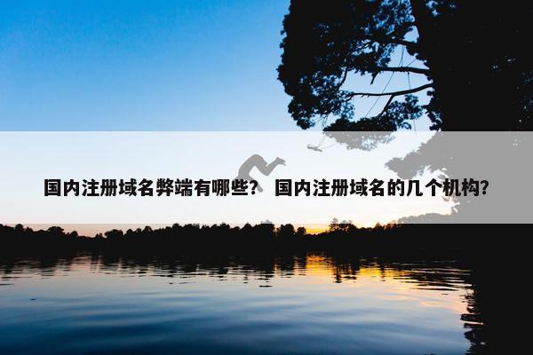 国内注册域名弊端有哪些？ 国内注册域名的几个机构？-第1张图片-冷动云