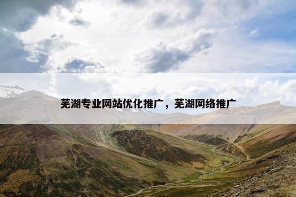 芜湖专业网站优化推广，芜湖网络推广-第1张图片-冷动云