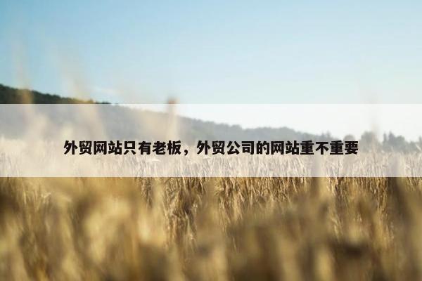 外贸网站只有老板，外贸公司的网站重不重要-第1张图片-冷动云