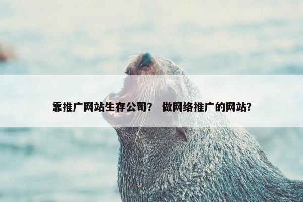 靠推广网站生存公司？ 做网络推广的网站？-第1张图片-冷动云