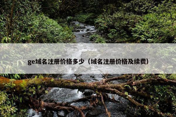 ge域名注册价格多少（域名注册价格及续费）-第1张图片-冷动云
