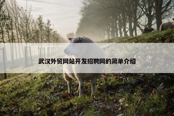 武汉外贸网站开发招聘网的简单介绍-第1张图片-冷动云