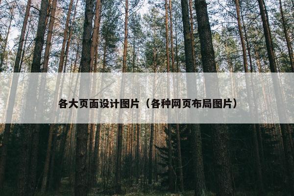 各大页面设计图片（各种网页布局图片）-第1张图片-冷动云