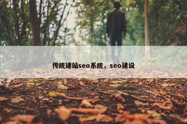 传统建站seo系统，seo建设-第1张图片-冷动云