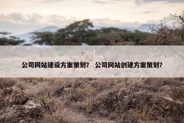 公司网站建设方案策划？ 公司网站创建方案策划？-第1张图片-冷动云
