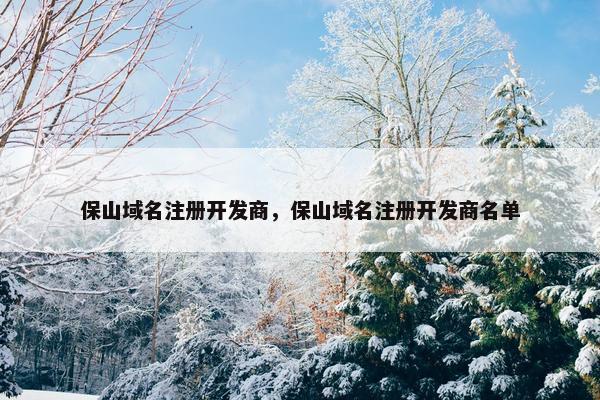 保山域名注册开发商，保山域名注册开发商名单-第1张图片-冷动云