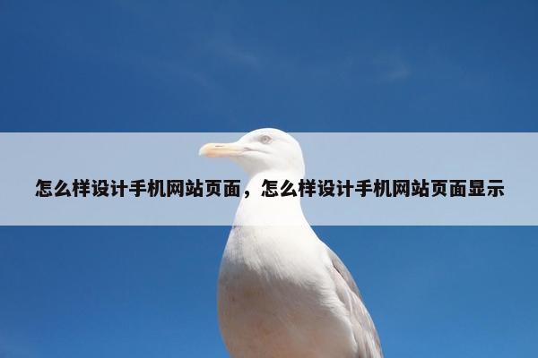 怎么样设计手机网站页面，怎么样设计手机网站页面显示-第1张图片-冷动云
