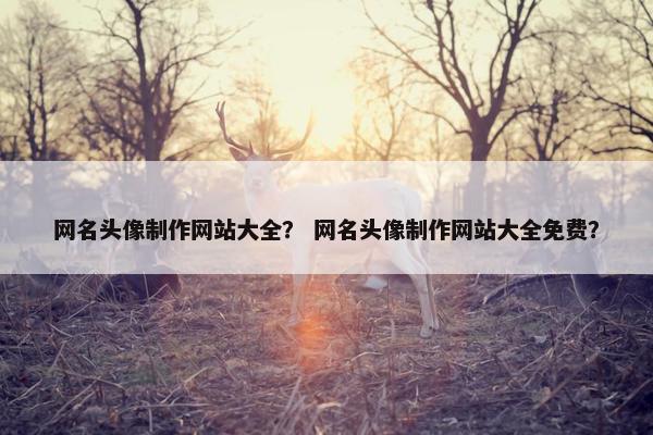 网名头像制作网站大全？ 网名头像制作网站大全免费？-第1张图片-冷动云
