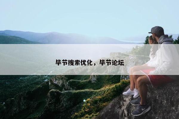 毕节搜索优化，毕节论坛-第1张图片-冷动云