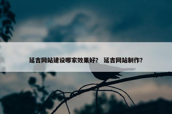 延吉网站建设哪家效果好？ 延吉网站制作？-第1张图片-冷动云