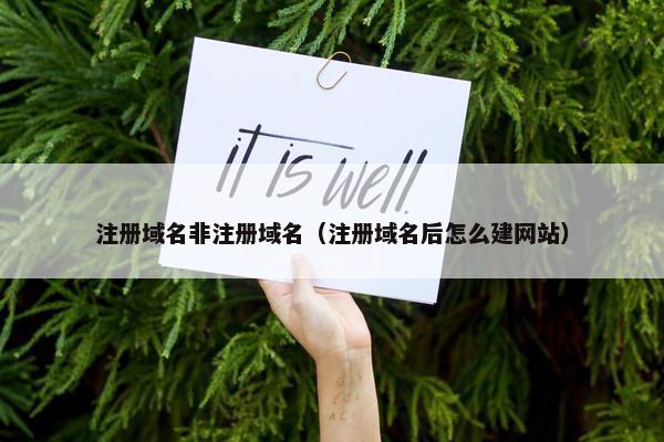 注册域名非注册域名（注册域名后怎么建网站）-第1张图片-冷动云