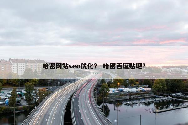 哈密网站seo优化？ 哈密百度贴吧？-第1张图片-冷动云