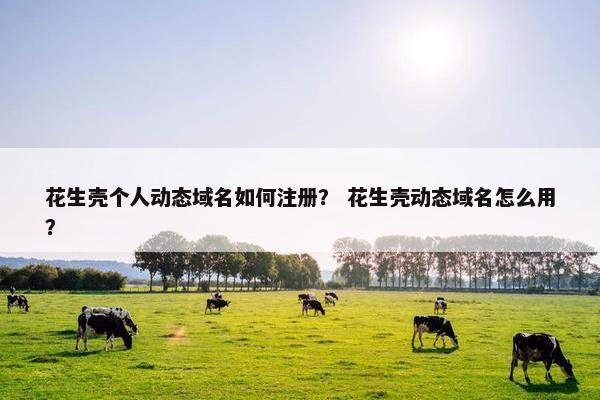 花生壳个人动态域名如何注册？ 花生壳动态域名怎么用？-第1张图片-冷动云