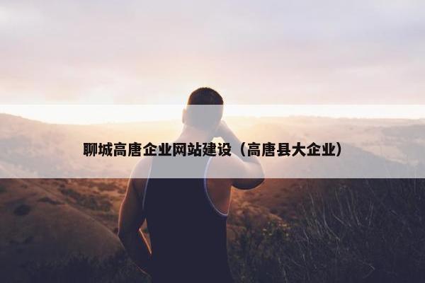 聊城高唐企业网站建设（高唐县大企业）-第1张图片-冷动云