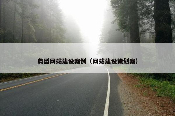 典型网站建设案例（网站建设策划案）-第1张图片-冷动云