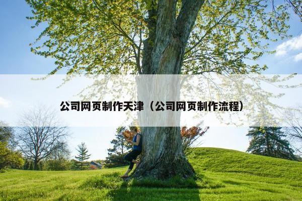 公司网页制作天津（公司网页制作流程）-第1张图片-冷动云