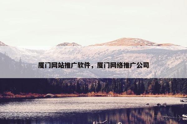 厦门网站推广软件，厦门网络推广公司-第1张图片-冷动云
