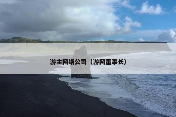 游主网络公司（游网董事长）-第1张图片-冷动云