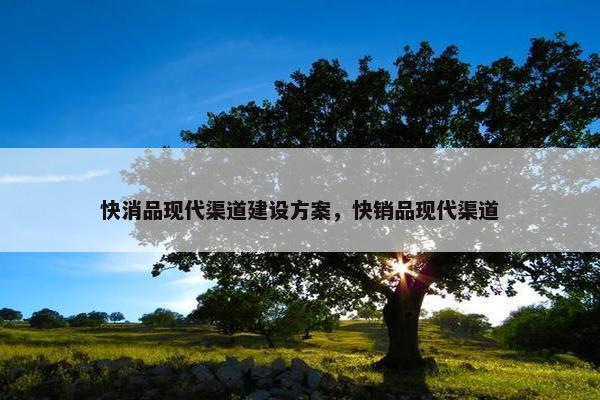 快消品现代渠道建设方案，快销品现代渠道-第1张图片-冷动云