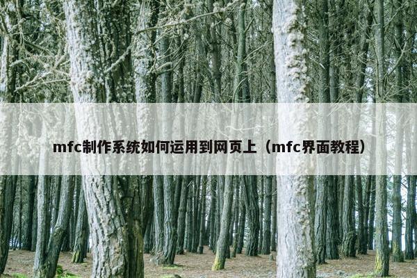 mfc制作系统如何运用到网页上（mfc界面教程）-第1张图片-冷动云