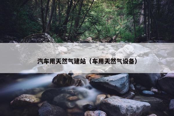 汽车用天然气建站（车用天然气设备）-第1张图片-冷动云