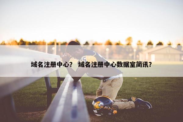 域名注册中心？ 域名注册中心数据室简讯？-第1张图片-冷动云