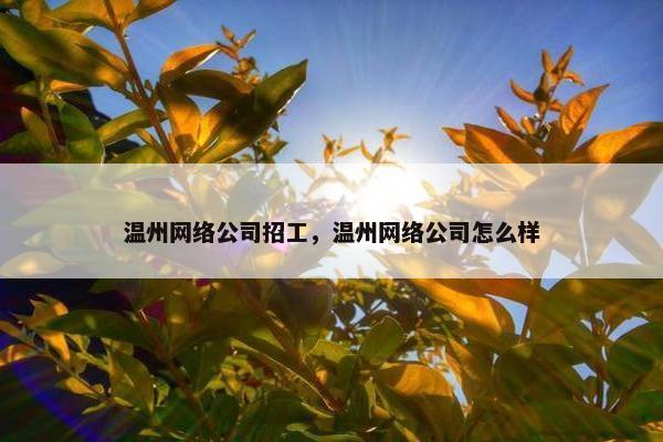 温州网络公司招工，温州网络公司怎么样-第1张图片-冷动云
