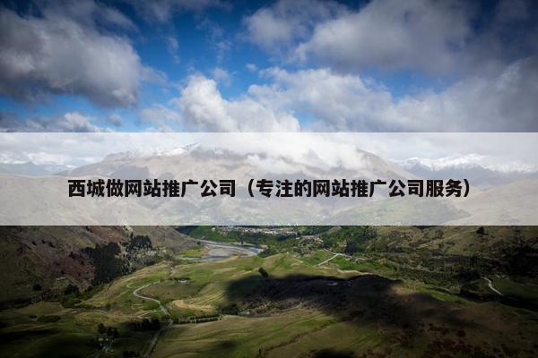 西城做网站推广公司（专注的网站推广公司服务）-第1张图片-冷动云