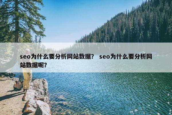 seo为什么要分析网站数据？ seo为什么要分析网站数据呢？-第1张图片-冷动云