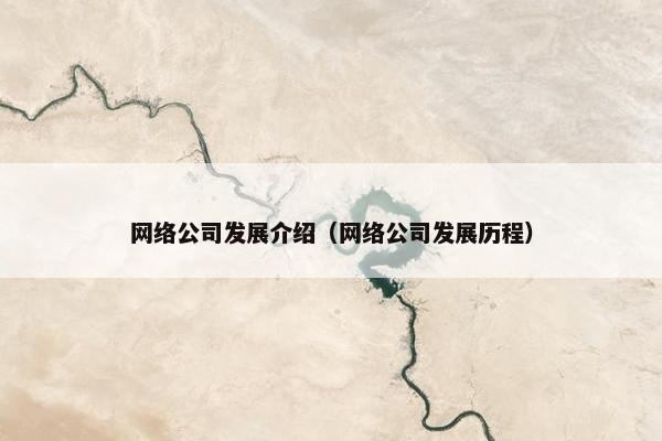 网络公司发展介绍（网络公司发展历程）-第1张图片-冷动云