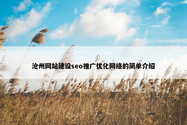 沧州网站建设seo推广优化网络的简单介绍-第1张图片-冷动云