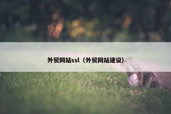 外贸网站ssl（外贸网站建设）-第1张图片-冷动云