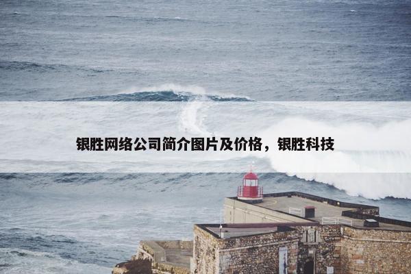 银胜网络公司简介图片及价格，银胜科技-第1张图片-冷动云