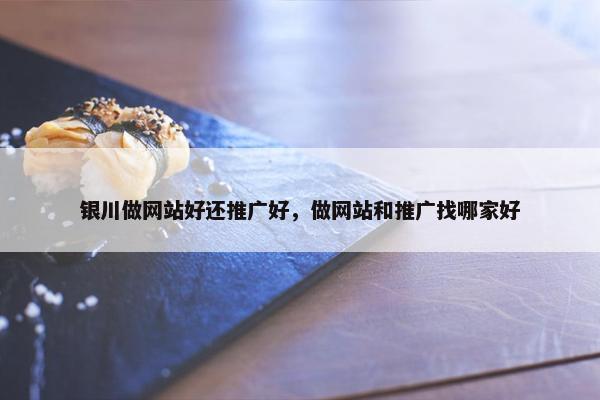 银川做网站好还推广好，做网站和推广找哪家好-第1张图片-冷动云