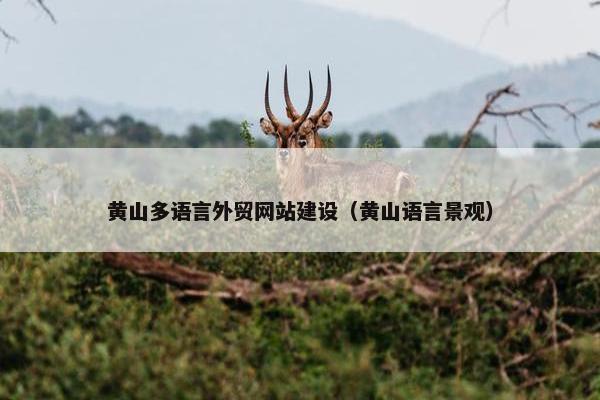 黄山多语言外贸网站建设（黄山语言景观）-第1张图片-冷动云