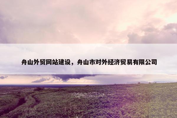 舟山外贸网站建设，舟山市对外经济贸易有限公司-第1张图片-冷动云