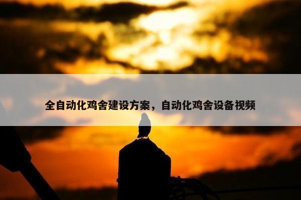 全自动化鸡舍建设方案，自动化鸡舍设备视频-第1张图片-冷动云