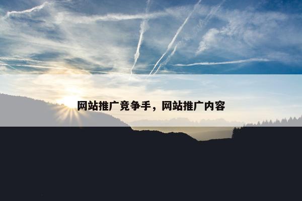 网站推广竞争手，网站推广内容-第1张图片-冷动云