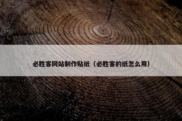 必胜客网站制作贴纸（必胜客的纸怎么用）-第1张图片-冷动云