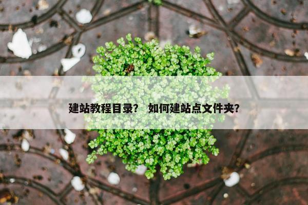建站教程目录？ 如何建站点文件夹？-第1张图片-冷动云