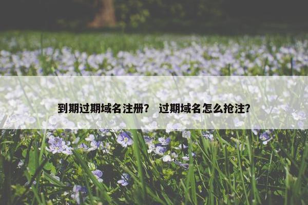 到期过期域名注册？ 过期域名怎么抢注？-第1张图片-冷动云