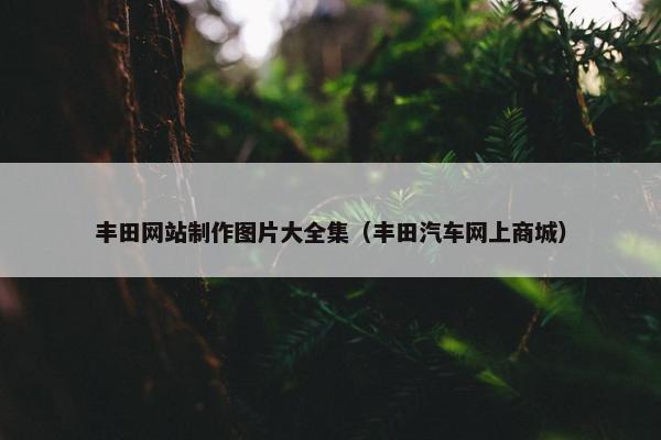 丰田网站制作图片大全集（丰田汽车网上商城）-第1张图片-冷动云