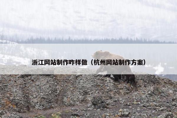 浙江网站制作咋样做（杭州网站制作方案）-第1张图片-冷动云