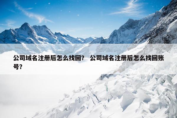公司域名注册后怎么找回？ 公司域名注册后怎么找回账号？-第1张图片-冷动云