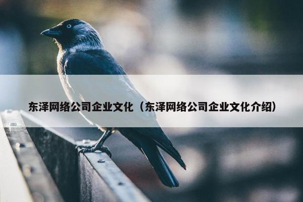 东泽网络公司企业文化（东泽网络公司企业文化介绍）-第1张图片-冷动云
