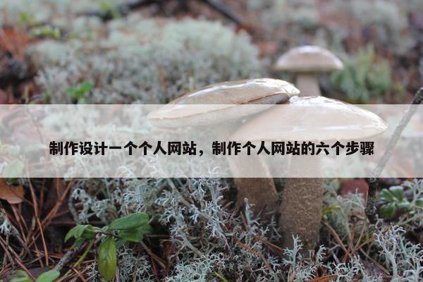 制作设计一个个人网站，制作个人网站的六个步骤-第1张图片-冷动云