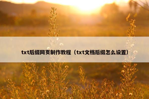 txt后缀网页制作教程（txt文档后缀怎么设置）-第1张图片-冷动云