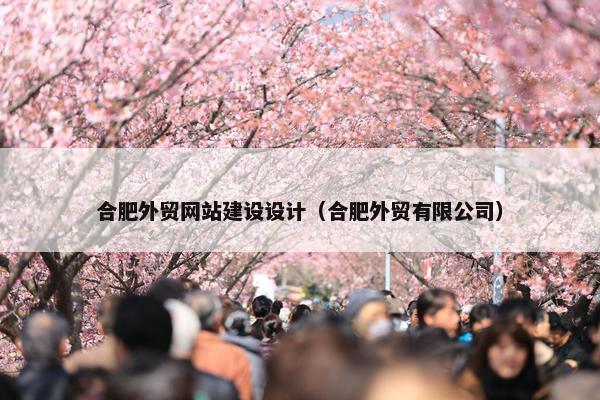 合肥外贸网站建设设计（合肥外贸有限公司）-第1张图片-冷动云