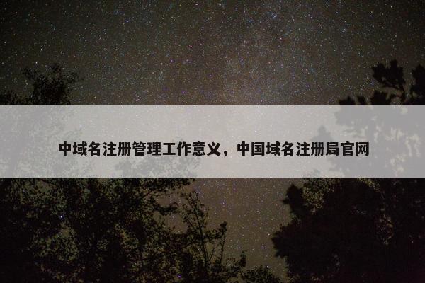 中域名注册管理工作意义，中国域名注册局官网-第1张图片-冷动云