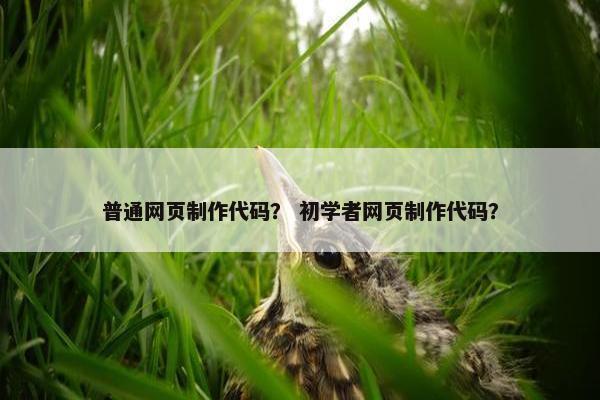 普通网页制作代码？ 初学者网页制作代码？-第1张图片-冷动云